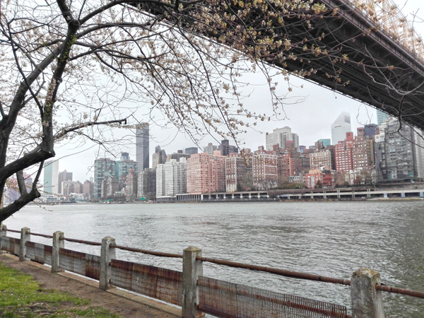 points-de-vue-roosevelt-island